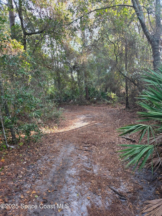 0000 Wood Duck Dr, Mims, FL 32754 - photo 6