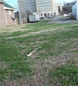 509 Ann St, Frankfort, KY 40601 - photo 2