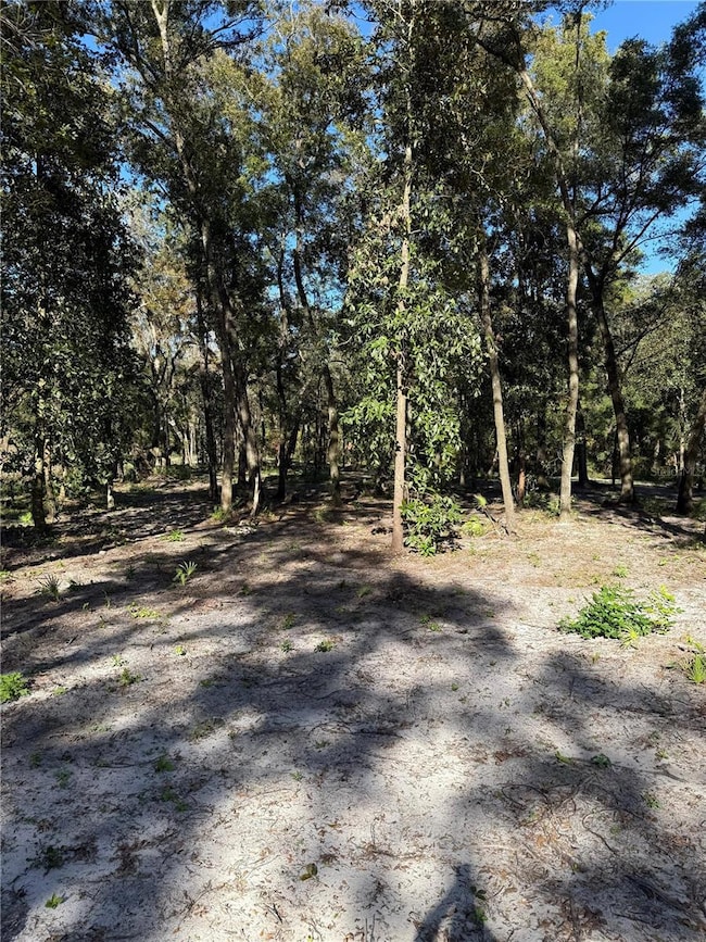 0 NW 7th Place, Ocala, FL 34482 - photo 2