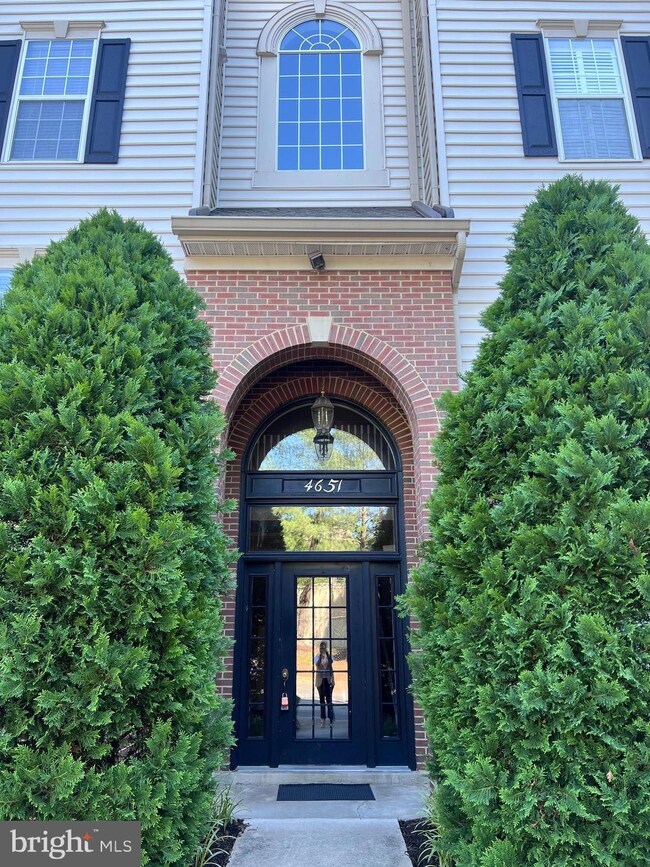 4651 Longstreet Ln unit 304, Alexandria, VA 22311 - photo 2