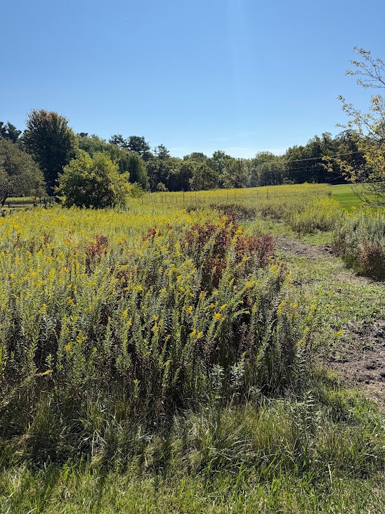 43W321 Creekside Ct, St. Charles, IL 60174 - photo 3