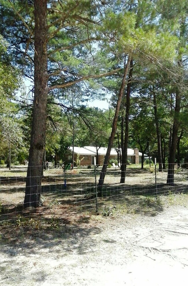 Front from road view