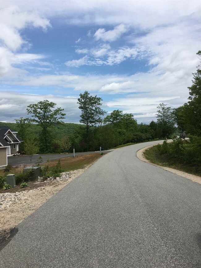 5 Black Bear Run unit 5, Center Tuftonboro, NH 03816 - photo 4