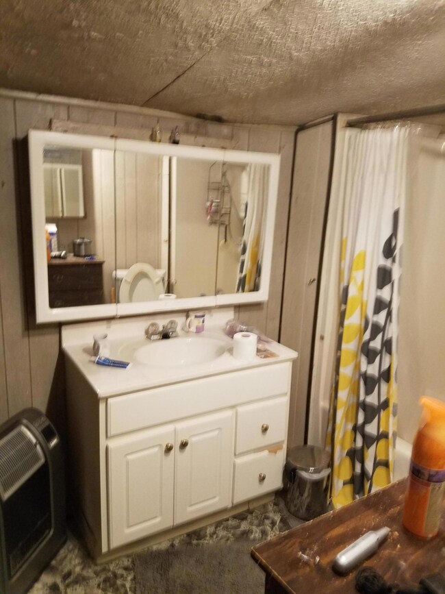 618 E Maple St, Johnson City, TN 37601 - photo 5