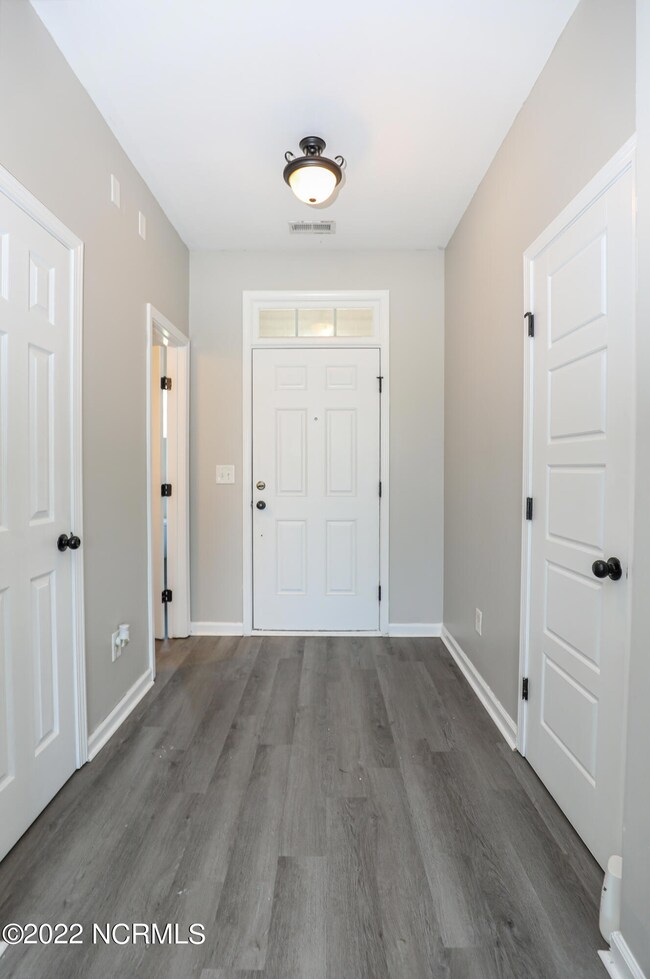 426 Bald Cypress-39