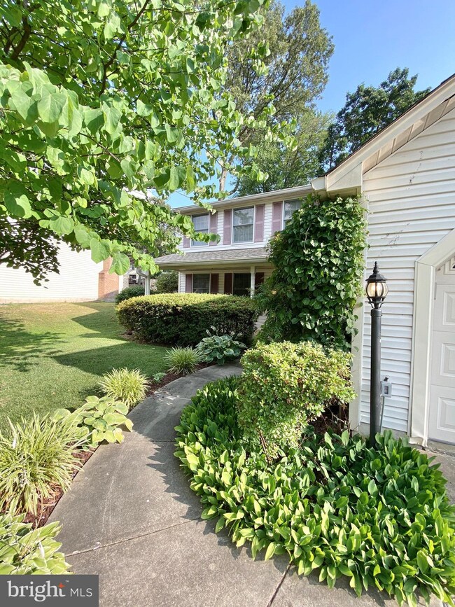 9807 Summerday Dr, Burke, VA 22015 - photo 6