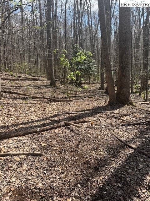 TBD Bald Mountain Rd, West Jefferson, NC 28694 - photo 4