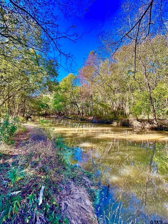 5395 Grand View Dr, Athens, TX 75752 - photo 4