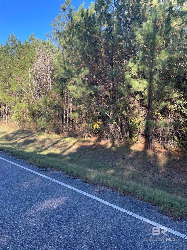 72510 State Highway 59, Little River, AL 36550 - photo 7
