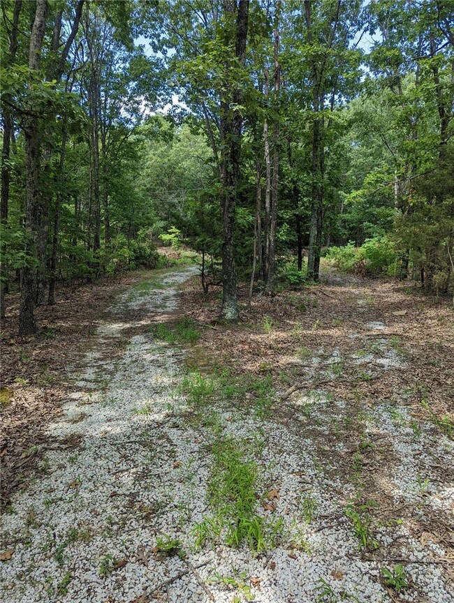 Road that goes to the covered shooting/ picnic are
