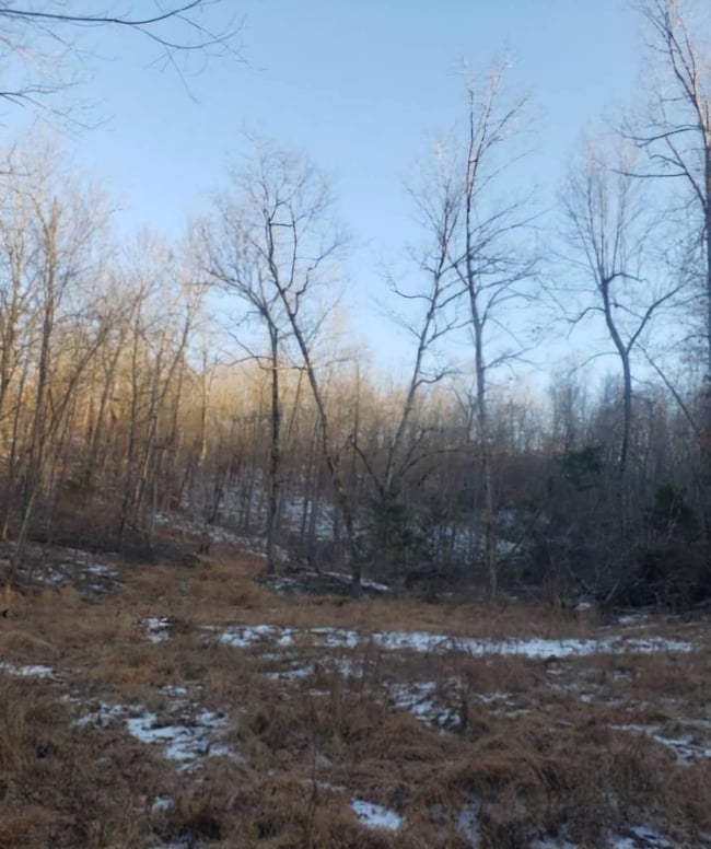 TBD Corner of Ring Rd and Upper Janes Creek, Ravenden Springs, AR 72460 - photo 3