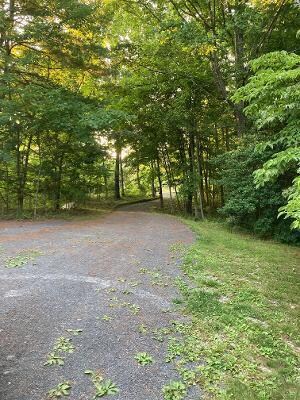 2521 Sand Knob Rd, Nimitz, WV 25978 - photo 3