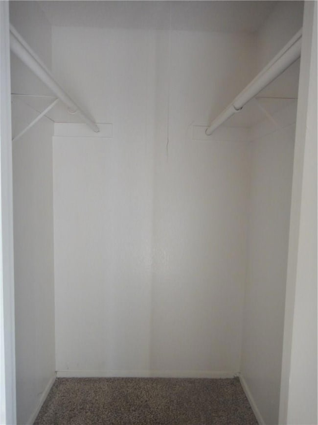Walk in closet featuring carpet floors