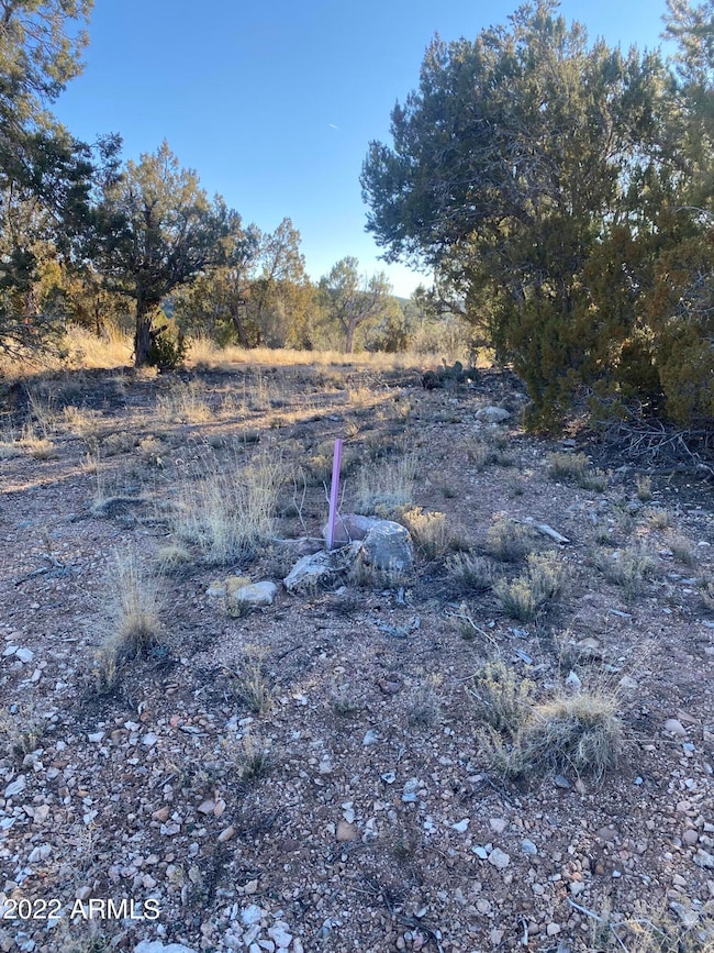 51874 N Cordero Rd unit 3382, Seligman, AZ 86337 - photo 3