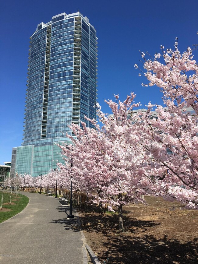 Park Tower Stamford unit PH30E, Stamford, CT 06901 - photo 3