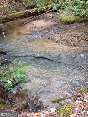 5 Wolf attachment1706368071262 (005)