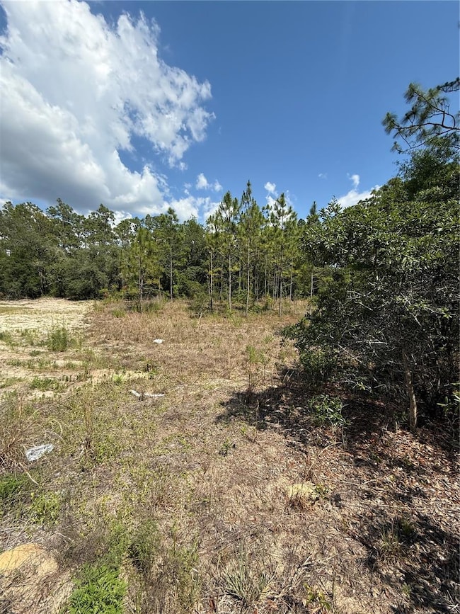 A clear view of the 0.95-acre lot, ready for development. Whether you’re envisioning a dream home or a smart investment, this property offers endless possibilities in a rapidly growing area.