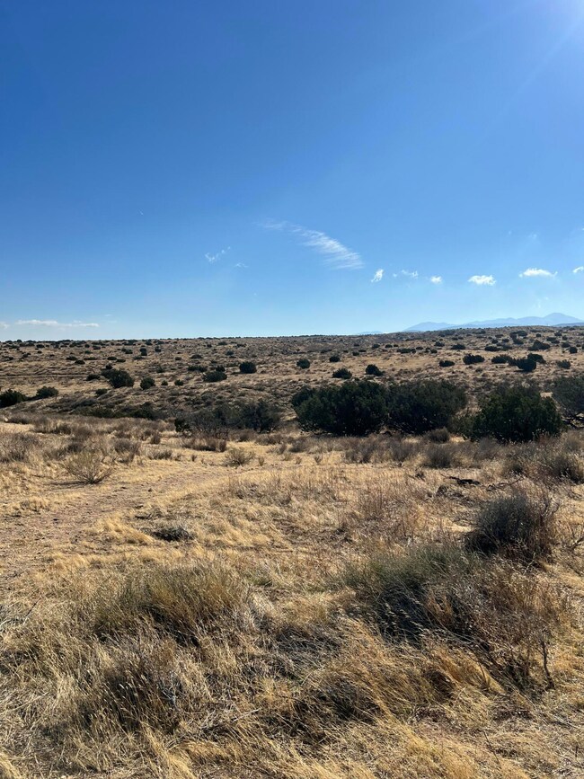 0 Vic Rushing Creek Small unit 25001152, Palmdale, CA 93550 - photo 6