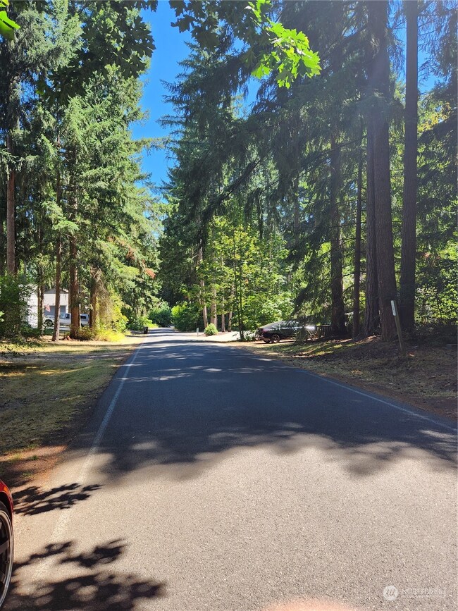 21614 N Terra Ln SE, Yelm, WA 98597 - photo 5