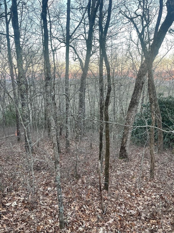 00 Zeb Buchanan Rd, Cullowhee, NC 28723 - photo 5