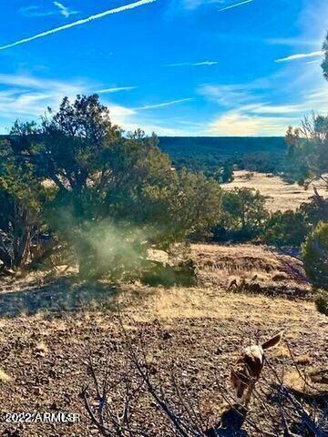 20220117080340285621000000-o