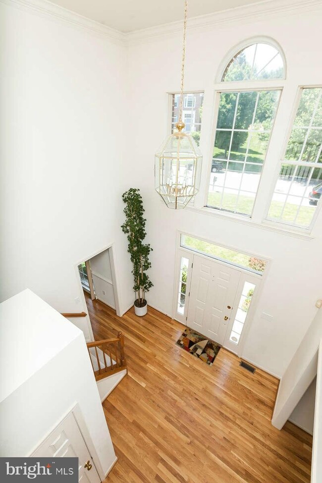 1207 Meadowlark Dr, Towson, MD 21286 - photo 3