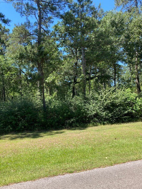 TBD Forest Trail, Hockley, TX 77447 - photo 3