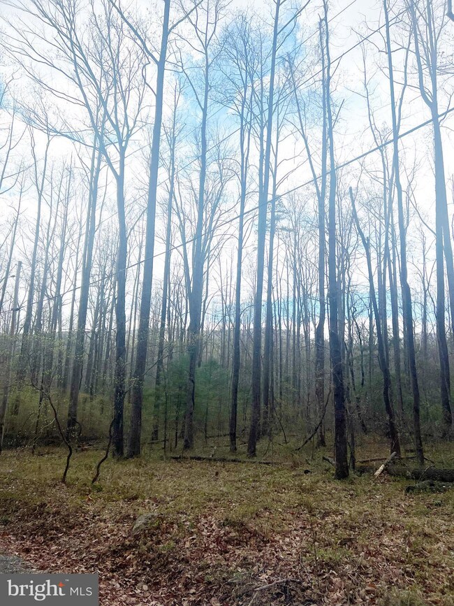 0 Circle Rd unit VAMA2001834, Stanardsville, VA 22973 - photo 7