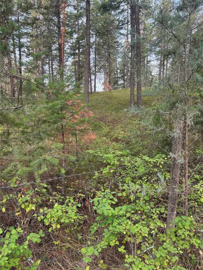 Nhn Rocky Point Rd, Polson, MT 59860 - photo 5