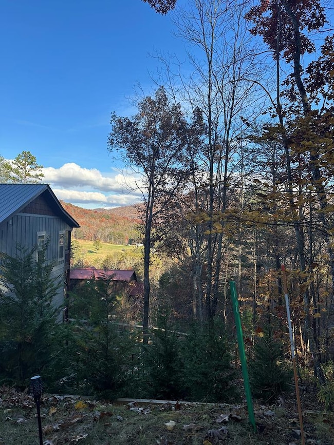 Left of Lot 10 Firefly