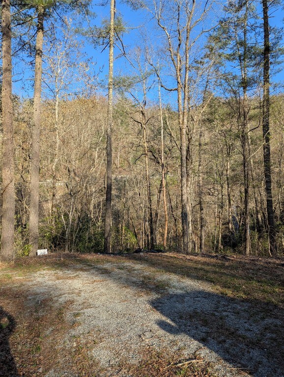 Lots at end of cul-de-sac