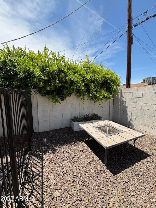 Backyard 3