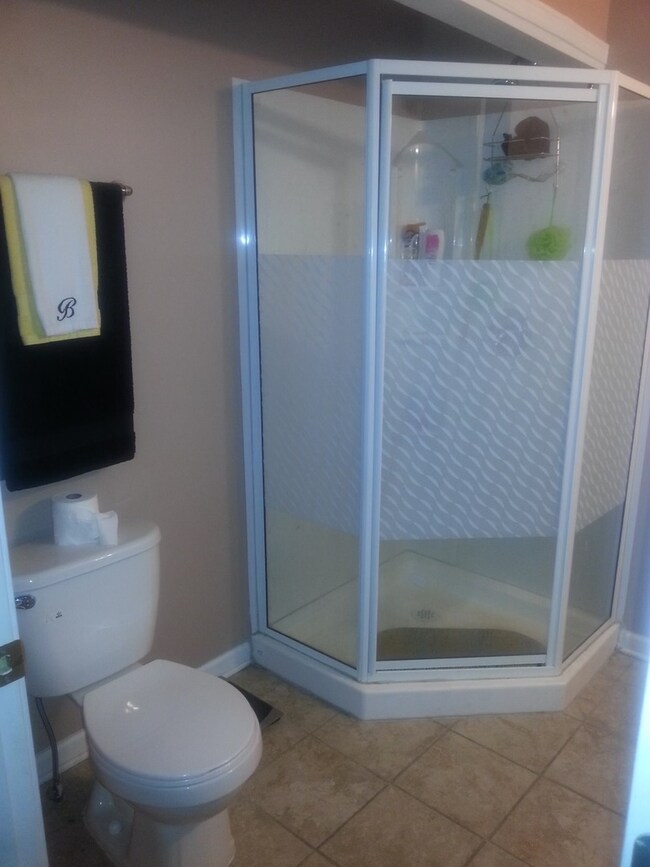 4602 Provincetown Dr unit 4, Country Club Hills, IL 60478 - photo 5