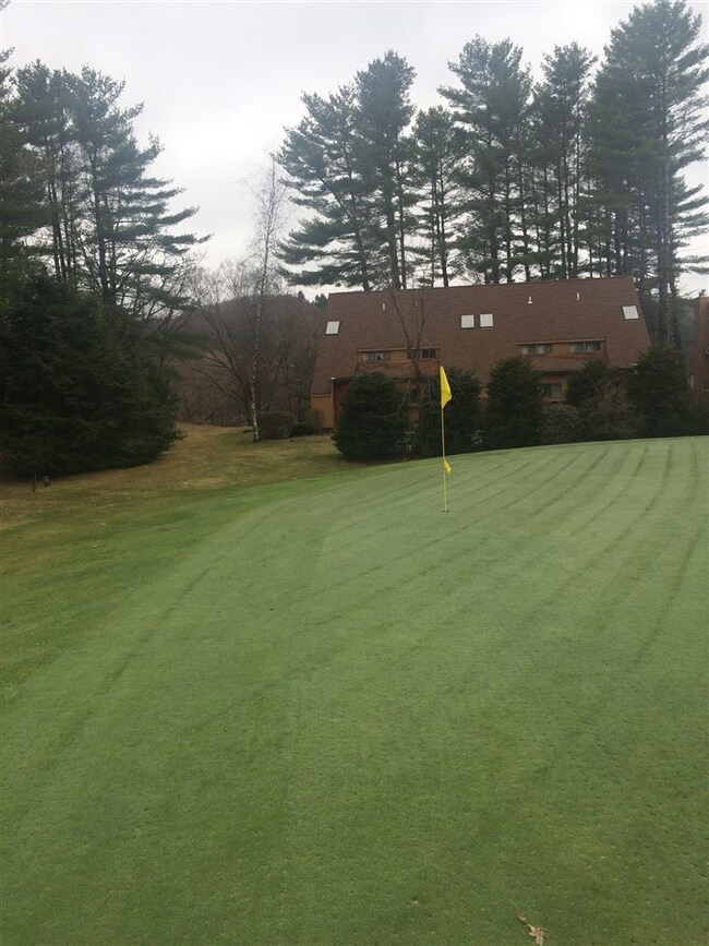 55-2 Fairway Dr unit 2, Ashland, NH 03217 - photo 2