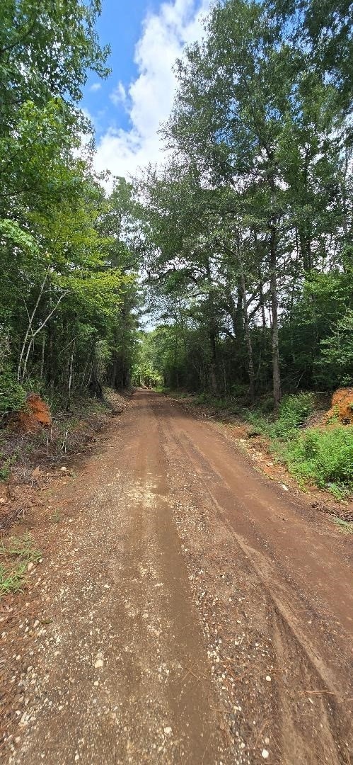 427 County Road 4822, Timpson, TX 75975 - photo 4