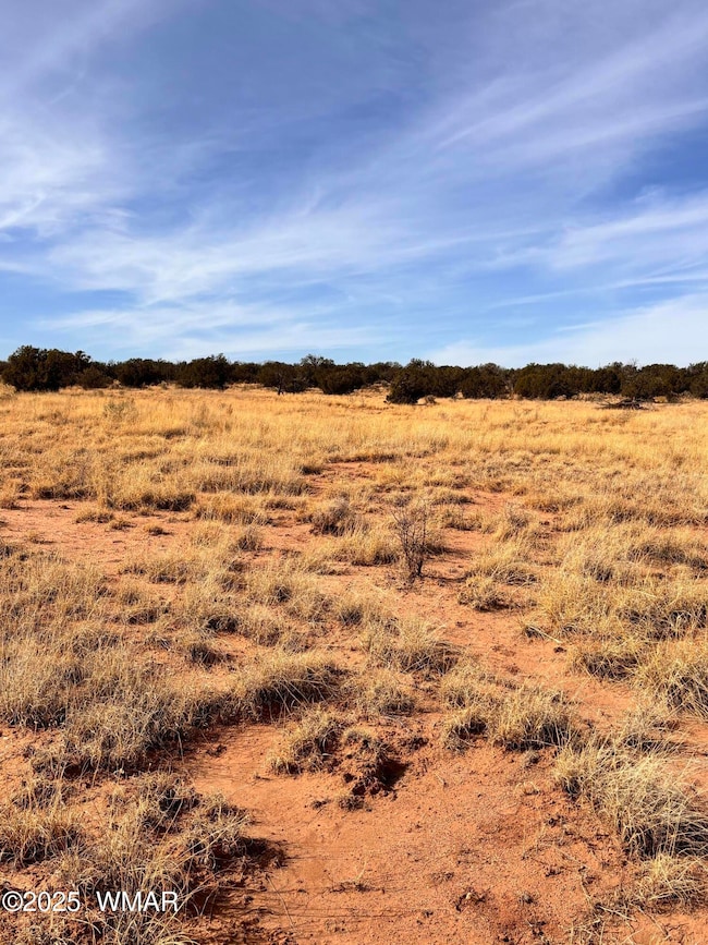 8581 Lawson Ln unit SE Corner, Snowflake, AZ 85937 - photo 4