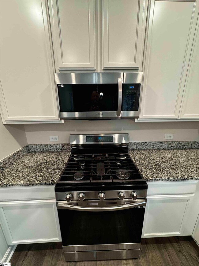 332 White Peach Way, Duncan, SC 29334 - photo 5