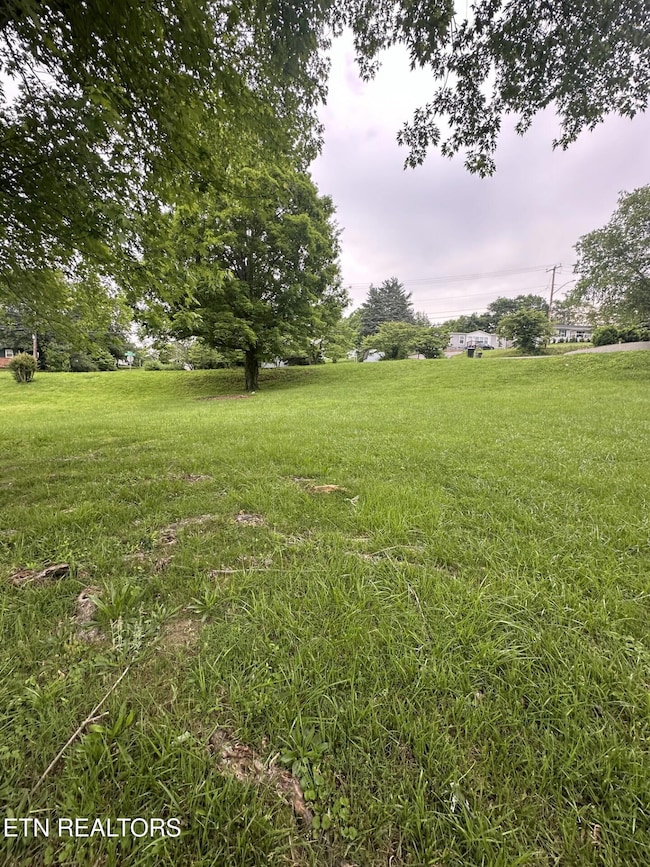 Spring Hill Lot 2