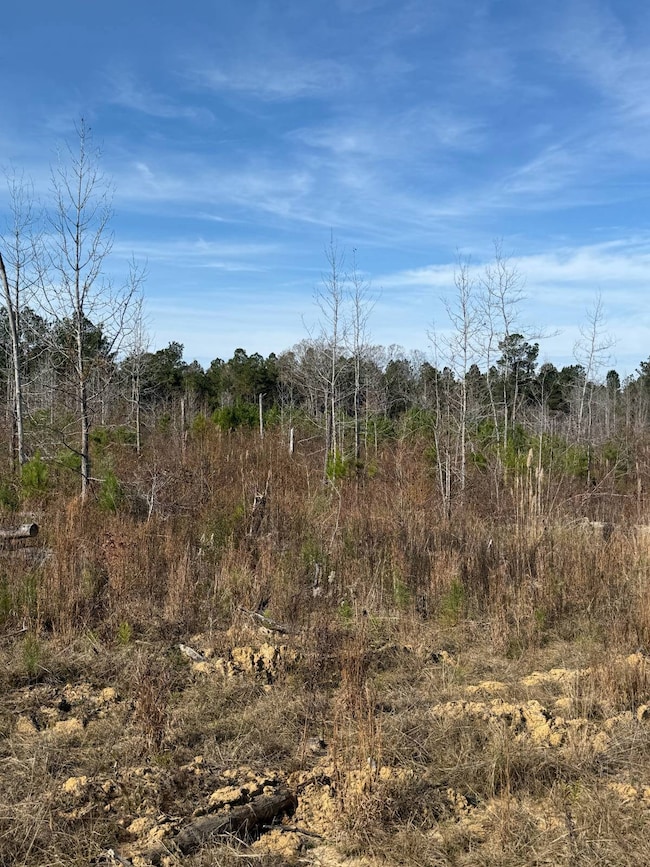 3160 Rd, Preston, MS 39354 - photo 6