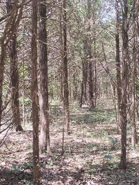 125 Way, Protem, MO 65733 - photo 3