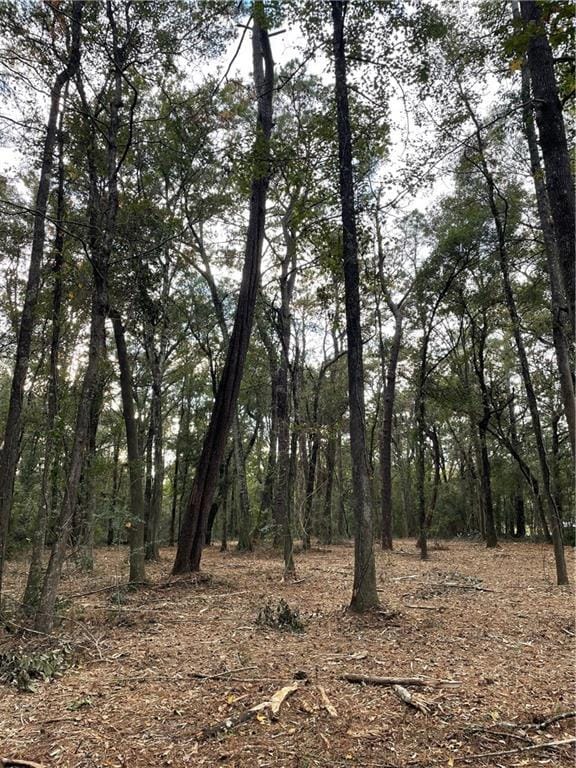 TBD Harvey Lavigne Rd, Ponchatoula, LA 70454 - photo 5