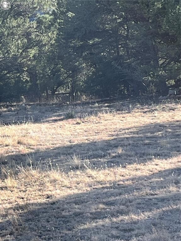 0 Q Path unit 7992612, Cotopaxi, CO 81223 - photo 3