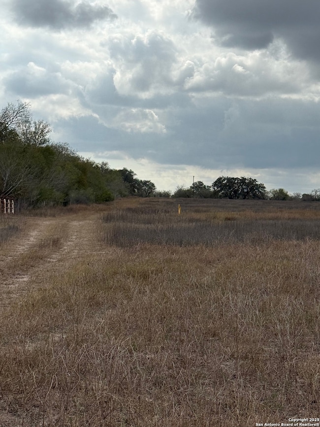 00 County Road 302, Runge, TX 78151 - photo 6
