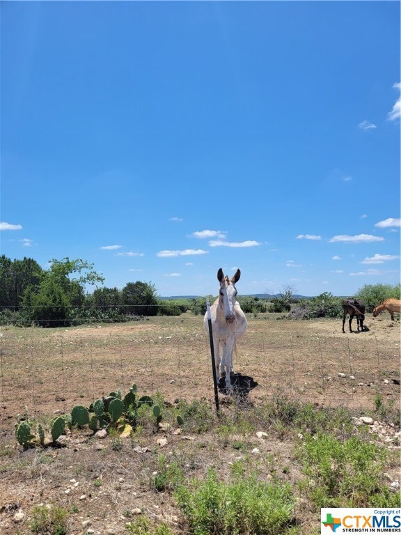 TBD County Rd 118, Other, TX 76522 - photo 6