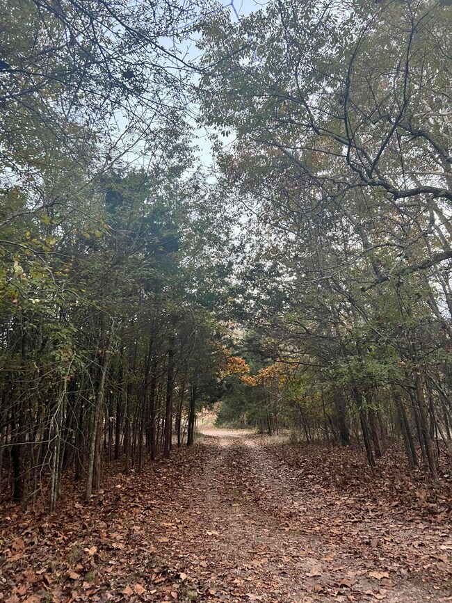 OZARK CO MO REAL ESTATE