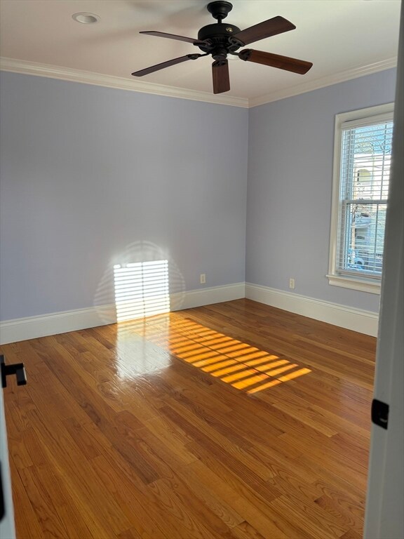 341 Linwood Ave unit 2, Newtonville, MA 02460 - photo 5