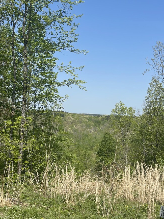 0 Saddlebrook Dr, Hohenwald, TN 38462 - photo 7