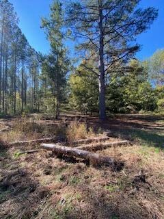 0 County Road 600, Booneville, MS 38829 - photo 6