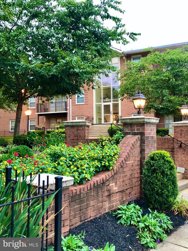 3330 Spring Ln unit D32, Baileys Crossroads, VA 22041 - photo 5