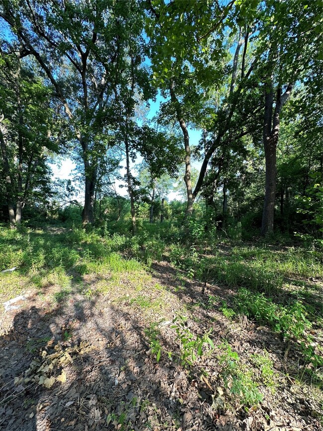 Unimproved Lot no Road Access